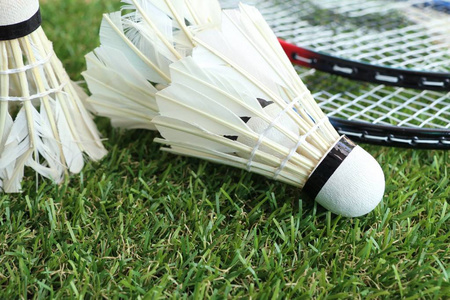 年轻球员的 年轻球员的